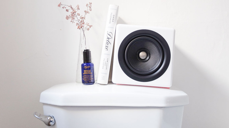 Piffa skolans toaletter med VVS-hjältarna